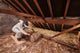 Loft Insulation